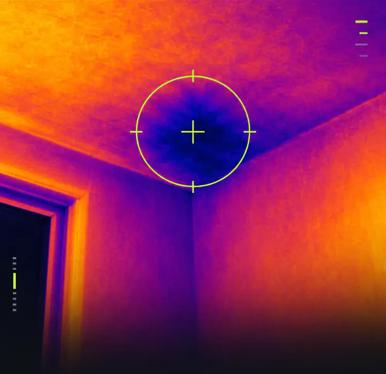 Thermal image of a ceiling and wall corner, a cold damp patch inside a targeting ring